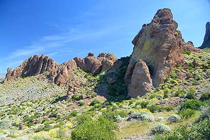 McDowell Mountain Regional Park, February 12, 2015